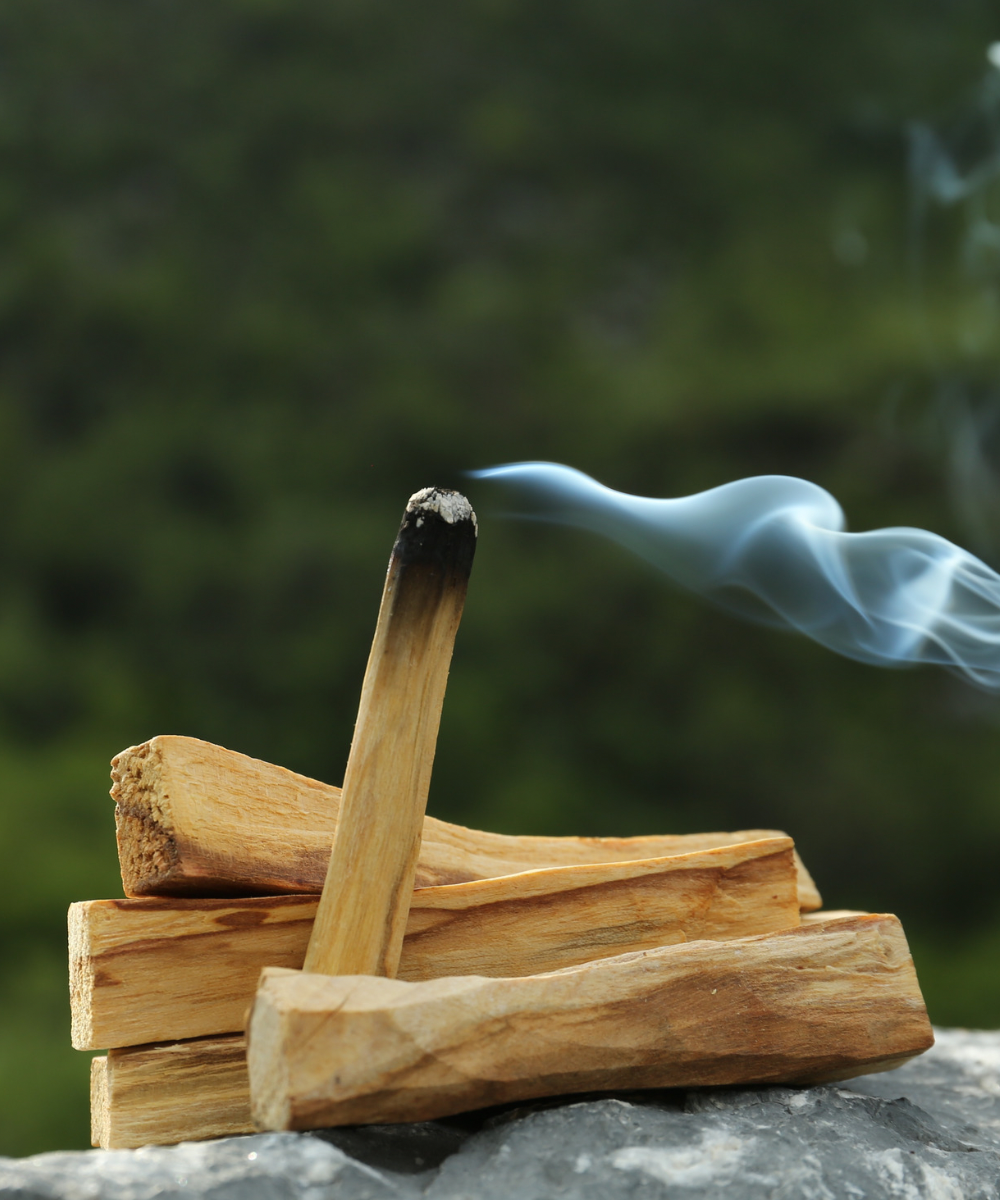 5 Stick Palo Santo